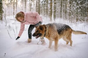 The Essential Guide to Dog Exercise: Boost Your dogs Health
