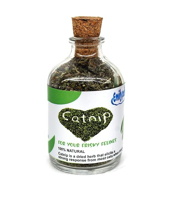 What Does Catnip Do to Cats