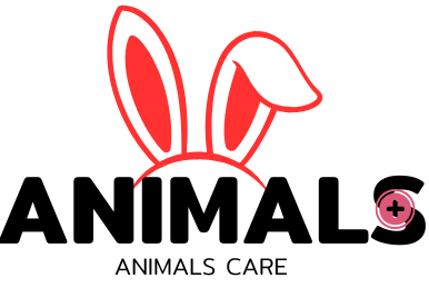 animals care