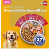 dogs food