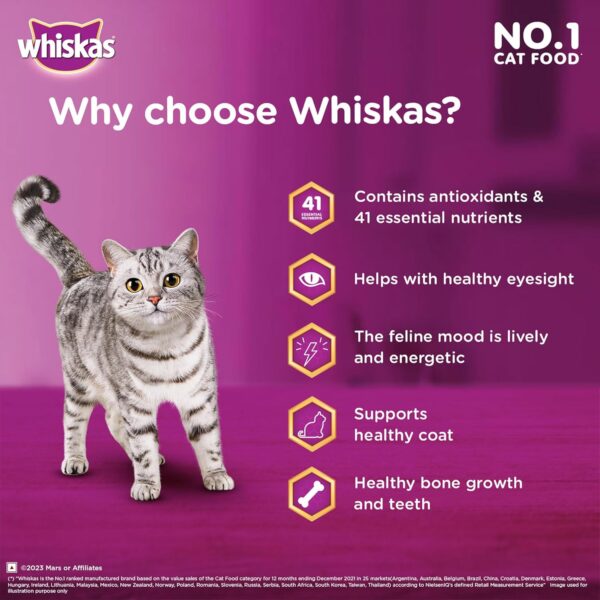 Whiskas Adult Dry Cat Food (1+ Years) – Ocean Fish Flavour, 7kg | Complete & Balanced Nutrition for Healthy Cats - Image 2