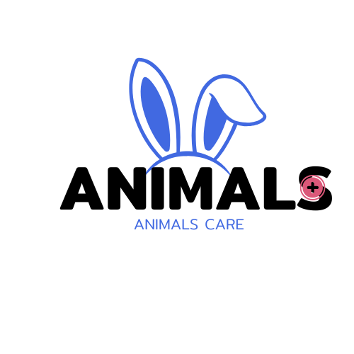 animals care