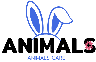 animals care