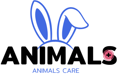 animals care