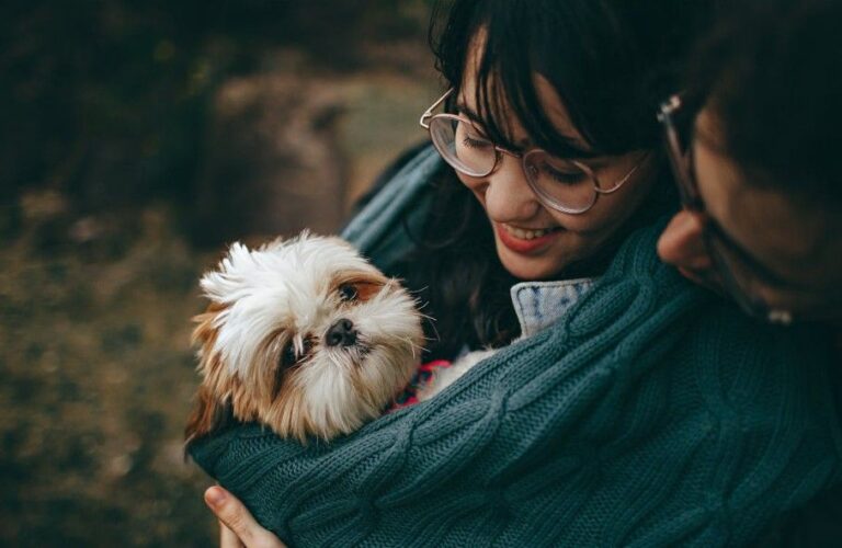 chinese dog breeds